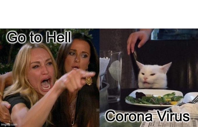 Humanity vs Corona Virus | Go to Hell; Corona Virus | image tagged in memes,woman yelling at cat,hell,corona virus | made w/ Imgflip meme maker
