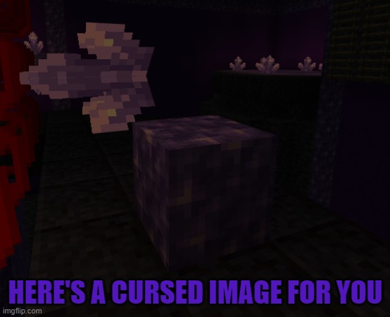 Amythest Cluster, tf are u doing? | HERE'S A CURSED IMAGE FOR YOU | image tagged in minecraft,cursed image | made w/ Imgflip meme maker