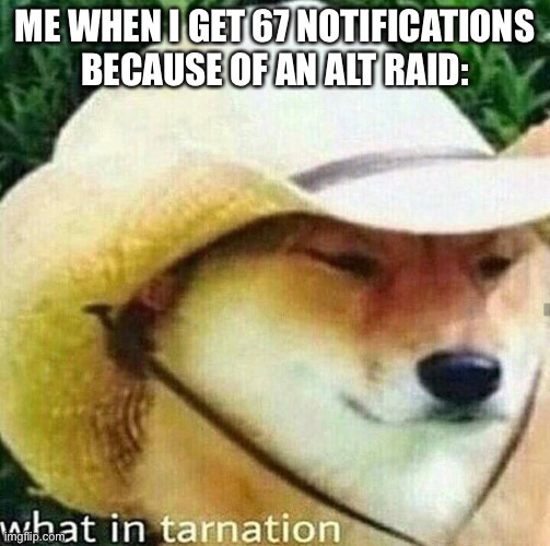 Like they're mostly following streams I mod | ME WHEN I GET 67 NOTIFICATIONS BECAUSE OF AN ALT RAID: | image tagged in what in tarnation dog | made w/ Imgflip meme maker