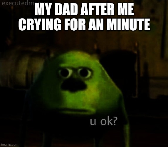 U ok? | MY DAD AFTER ME CRYING FOR AN MINUTE | image tagged in creepy mike sulley face u ok,dad | made w/ Imgflip meme maker