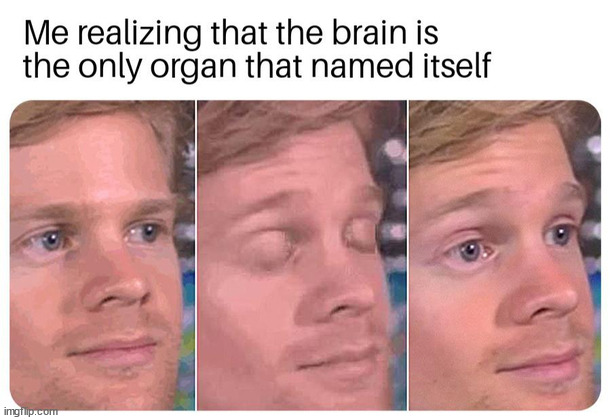 Not my meme, but something for the insomniacs to contemplate as they hope for sleep... | image tagged in brain,the first person to,organ,organs,realization,sudden realization | made w/ Imgflip meme maker