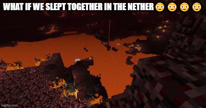 Nether | WHAT IF WE SLEPT TOGETHER IN THE NETHER???? | image tagged in nether | made w/ Imgflip meme maker