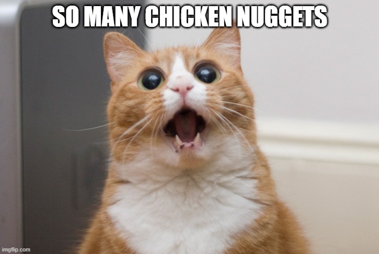 Amazed cat | SO MANY CHICKEN NUGGETS | image tagged in amazed cat | made w/ Imgflip meme maker