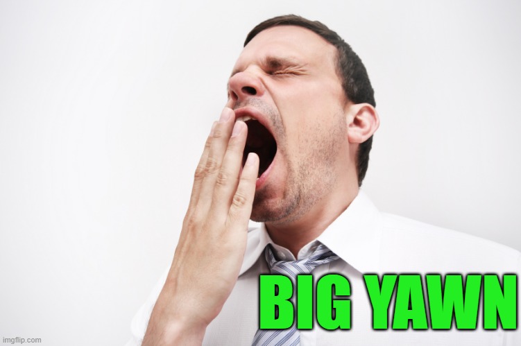 yawn | BIG YAWN | image tagged in yawn | made w/ Imgflip meme maker