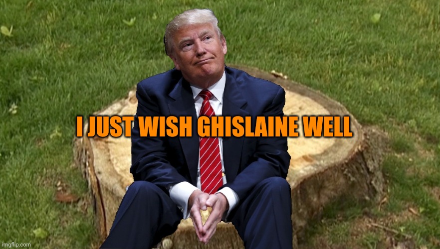 Diaper don waxing poetic like | I JUST WISH GHISLAINE WELL | image tagged in trump on a stump | made w/ Imgflip meme maker
