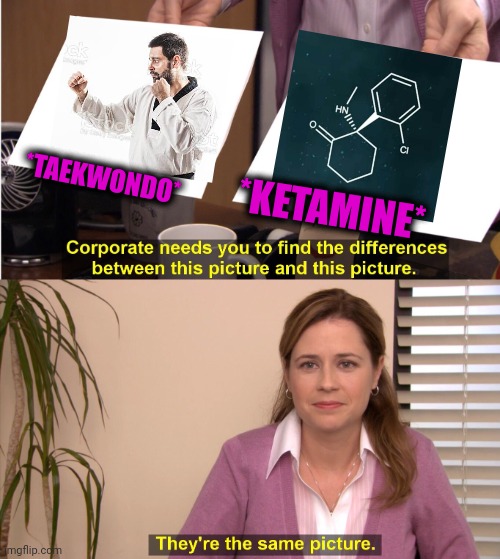 -Warlike stance. | *TAEKWONDO*; *KETAMINE* | image tagged in memes,they're the same picture,martial arts,don't do drugs,molly,totally looks like | made w/ Imgflip meme maker