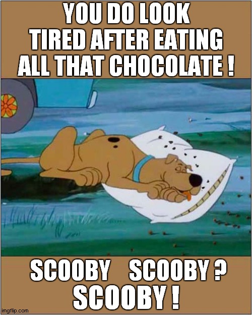 Too Much Chocolate For Scooby | YOU DO LOOK TIRED AFTER EATING ALL THAT CHOCOLATE ! SCOOBY    SCOOBY ? SCOOBY ! | image tagged in scooby doo,chocolate,dark humour | made w/ Imgflip meme maker