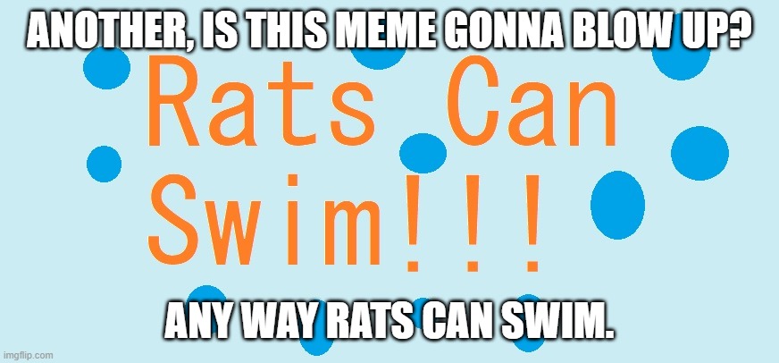 Part 2 |  ANOTHER, IS THIS MEME GONNA BLOW UP? ANY WAY RATS CAN SWIM. | image tagged in rats can swim,rats,swimming | made w/ Imgflip meme maker