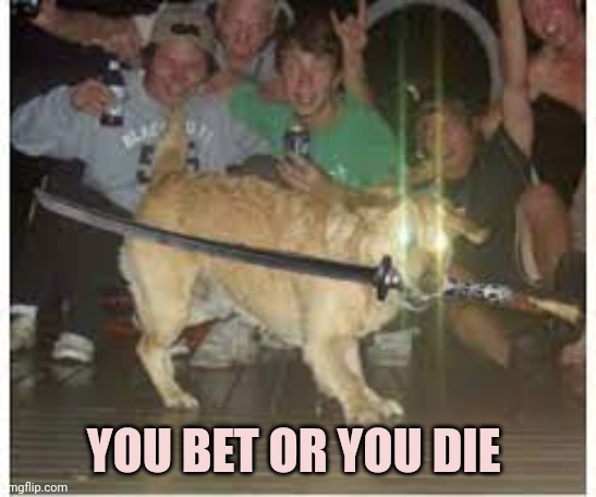 Samurai dog | YOU BET OR YOU DIE | image tagged in samurai dog | made w/ Imgflip meme maker