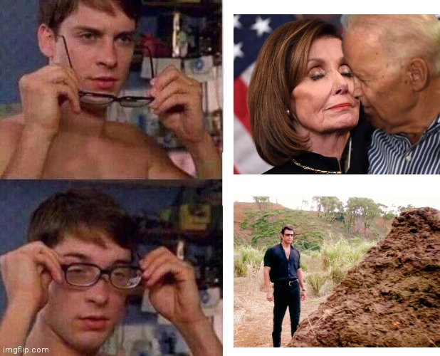 People are starting to see the democrats for what they are | image tagged in spiderman glasses,memes,democrats,shit,joe biden,nancy pelosi | made w/ Imgflip meme maker
