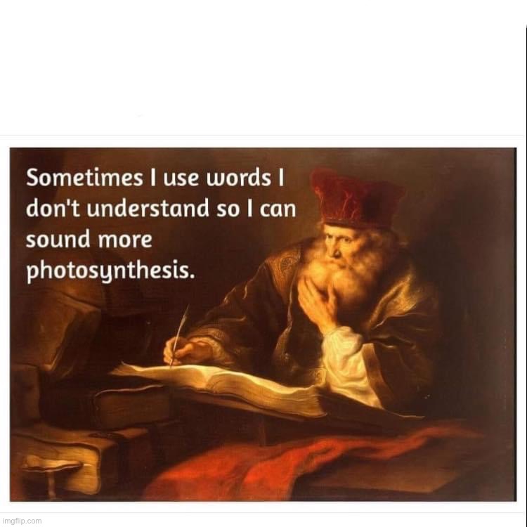 words I don’t understand | image tagged in sometimes i use words i don t understand so i can sound more,words,i,dont,understand,vocabulary | made w/ Imgflip meme maker