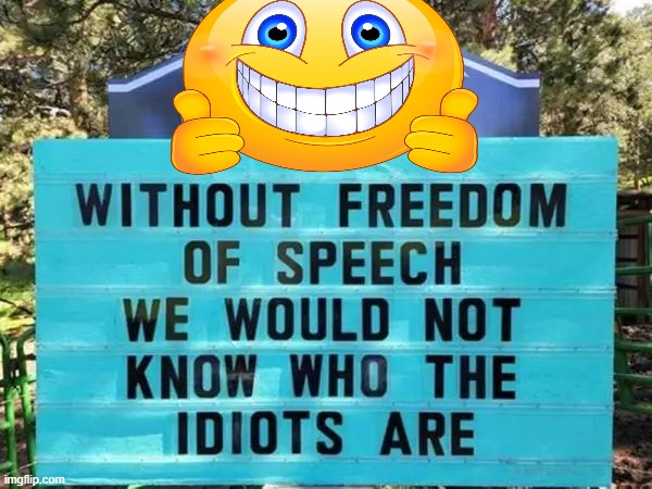 Freedom Of Speech | image tagged in funny,imgflip humor,freedom of speech,consequences,important,lol | made w/ Imgflip meme maker