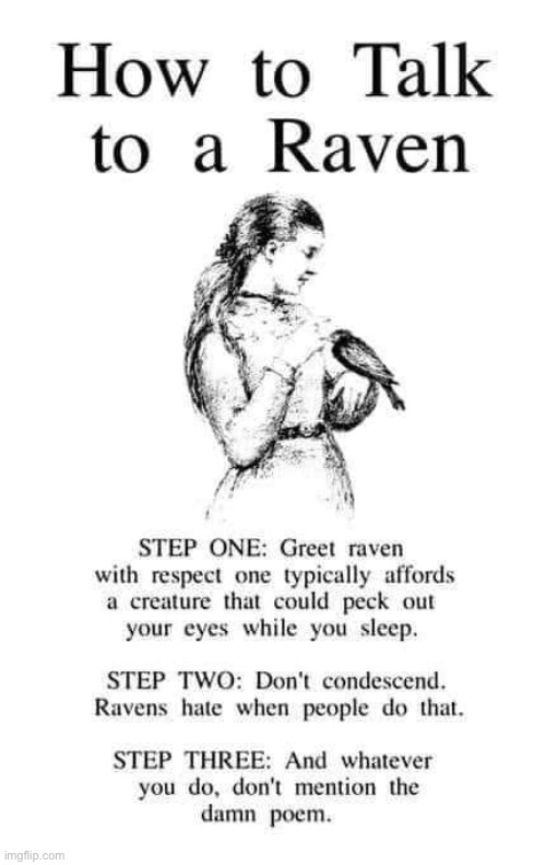 how-to-talk-to-a-raven-imgflip