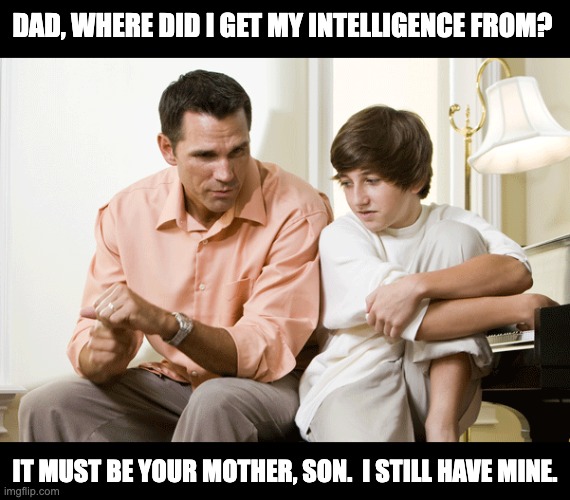 dad son | DAD, WHERE DID I GET MY INTELLIGENCE FROM? IT MUST BE YOUR MOTHER, SON.  I STILL HAVE MINE. | image tagged in dad talks to son | made w/ Imgflip meme maker