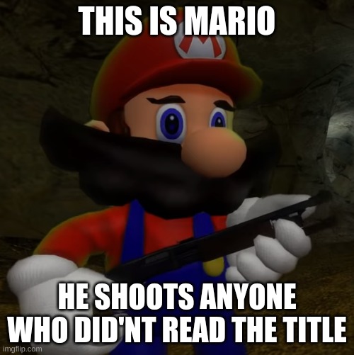 Too late (shotgun reloads) |  THIS IS MARIO; HE SHOOTS ANYONE WHO DID'NT READ THE TITLE | image tagged in mario with shotgun,lol so funny,memes,lol,shotgun | made w/ Imgflip meme maker