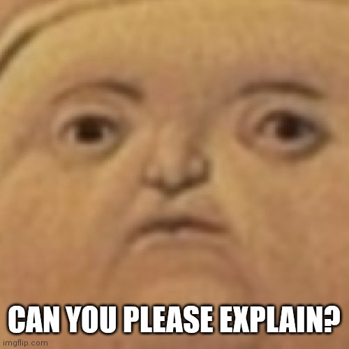 Can you please explain? | CAN YOU PLEASE EXPLAIN? | image tagged in y tho,explain,please,face,eyes,reaction | made w/ Imgflip meme maker