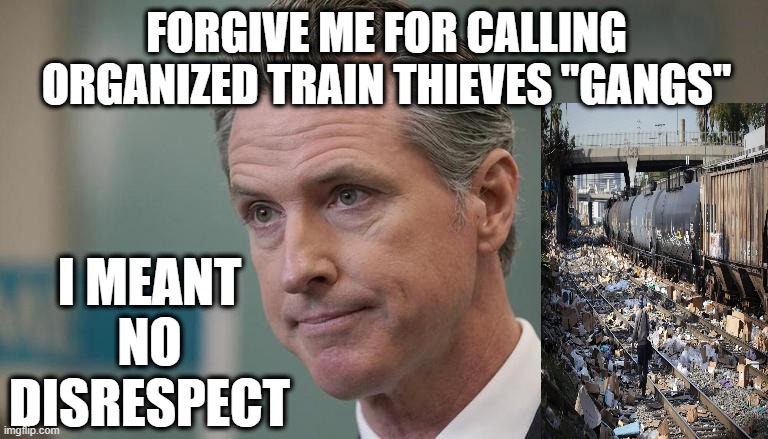 For One Brief Shining Moment, He Forgot Political Correctness | FORGIVE ME FOR CALLING ORGANIZED TRAIN THIEVES "GANGS"; I MEANT NO DISRESPECT | image tagged in california gov gavin newsom,train thieves,gangs | made w/ Imgflip meme maker