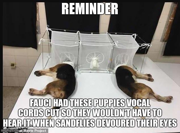And you think he cares about YOU? REJECT THE VAXXNAZI DEATH JAB. | REMINDER; FAUCI HAD THESE PUPPIES VOCAL CORDS CUT SO THEY WOULDN'T HAVE TO HEAR IT WHEN SANDFLIES DEVOURED THEIR EYES | image tagged in death jab,covid-19,dr fauci | made w/ Imgflip meme maker