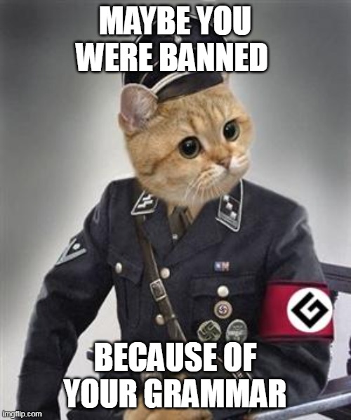Grammar Nazi Cat | MAYBE YOU WERE BANNED BECAUSE OF YOUR GRAMMAR | image tagged in grammar nazi cat | made w/ Imgflip meme maker