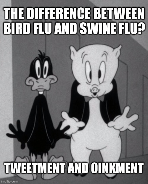 Tweetment & Oinkment | THE DIFFERENCE BETWEEN BIRD FLU AND SWINE FLU? TWEETMENT AND OINKMENT | image tagged in bird,pig,flu | made w/ Imgflip meme maker