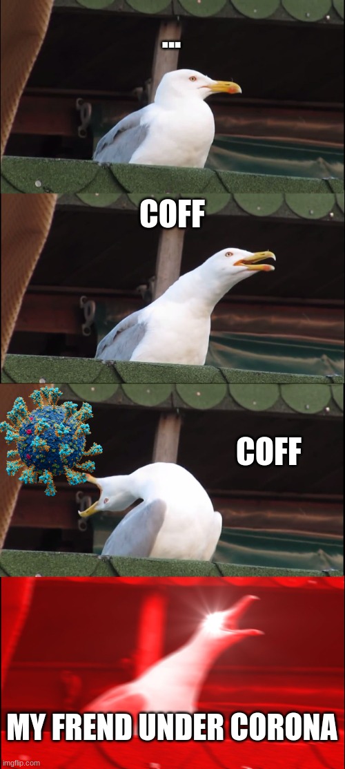 corona | ... COFF; COFF; MY FREND UNDER CORONA | image tagged in memes,inhaling seagull | made w/ Imgflip meme maker