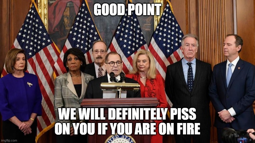 House Democrats | GOOD POINT WE WILL DEFINITELY PISS ON YOU IF YOU ARE ON FIRE | image tagged in house democrats | made w/ Imgflip meme maker