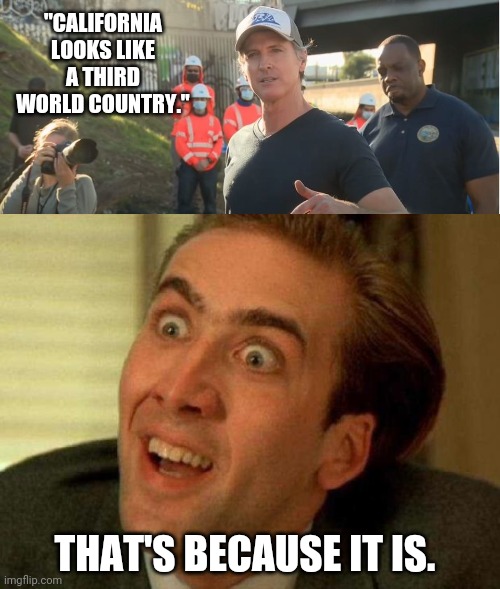 Sometimes you can't tell the difference. | "CALIFORNIA LOOKS LIKE A THIRD WORLD COUNTRY."; THAT'S BECAUSE IT IS. | image tagged in nicolas cage | made w/ Imgflip meme maker