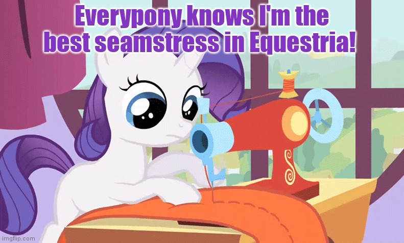 Everypony knows I'm the best seamstress in Equestria! | made w/ Imgflip meme maker