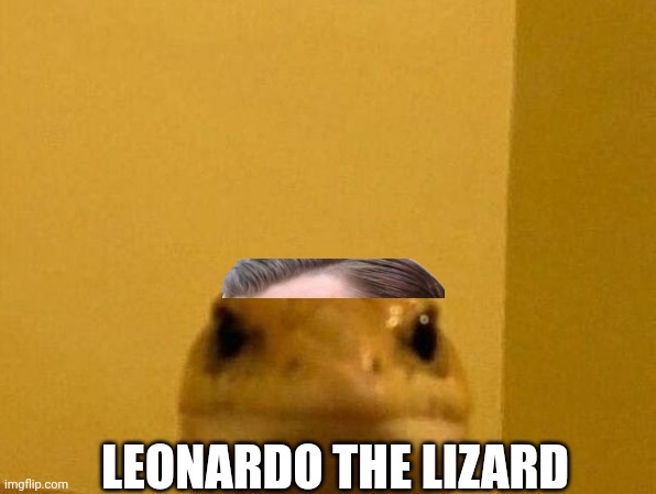 Funny Lizard | LEONARDO THE LIZARD | image tagged in funny lizard | made w/ Imgflip meme maker