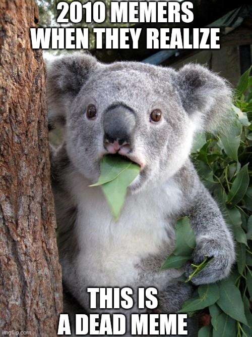 Surprised Koala | 2010 MEMERS WHEN THEY REALIZE; THIS IS A DEAD MEME | image tagged in memes,surprised koala | made w/ Imgflip meme maker