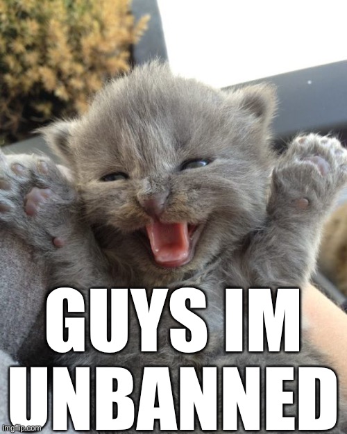 Yay Kitty | GUYS IM UNBANNED | image tagged in oh wow are you actually reading these tags | made w/ Imgflip meme maker