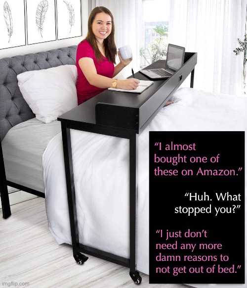 I Think She Made a Good Decision |  “I almost bought one of these on Amazon.”; “Huh. What stopped you?”; “I just don’t need any more damn reasons to not get out of bed.” | image tagged in funny memes,my friend,is super lazy,shes getting fat too | made w/ Imgflip meme maker