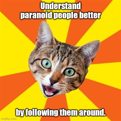 Psychology major. |  Understand paranoid people better; by following them around. | image tagged in memes,bad advice cat,funny | made w/ Imgflip meme maker