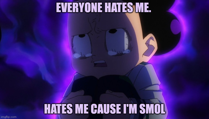 Mineta sad | EVERYONE HATES ME. HATES ME CAUSE I'M SMOL | image tagged in mineta sad | made w/ Imgflip meme maker