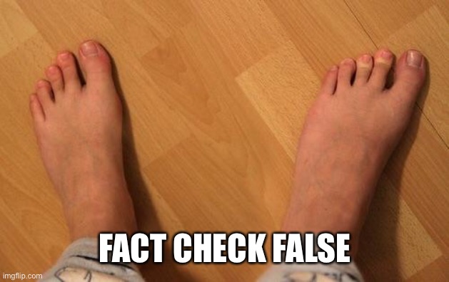 FACT CHECK FALSE | made w/ Imgflip meme maker