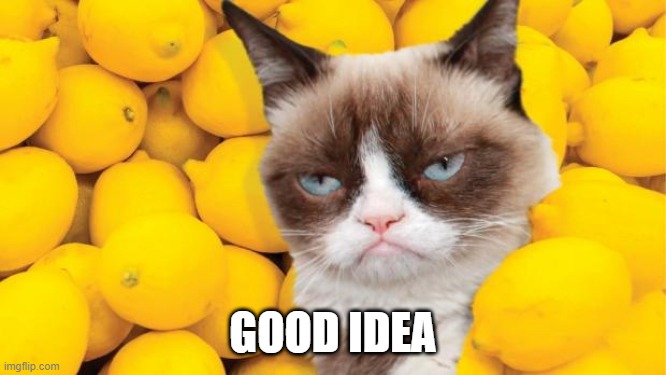 Grumpy Cat lemons | GOOD IDEA | image tagged in grumpy cat lemons | made w/ Imgflip meme maker