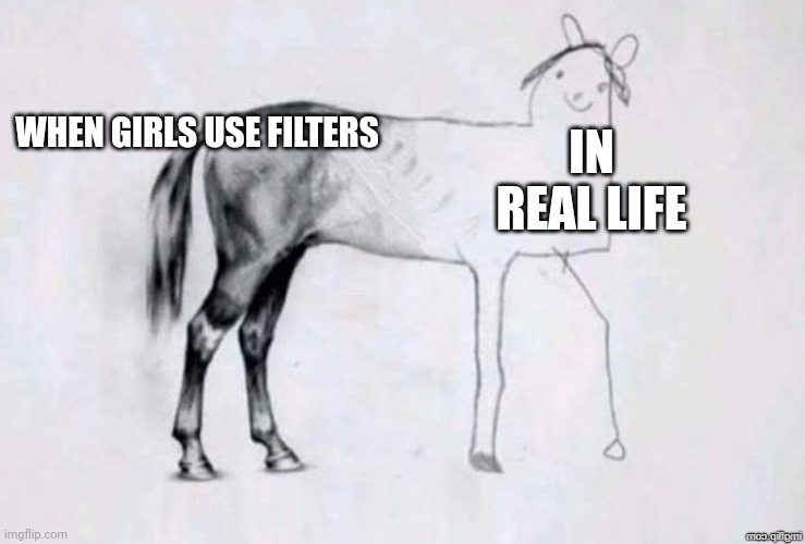 Horse Drawing | WHEN GIRLS USE FILTERS; IN REAL LIFE | image tagged in horse drawing | made w/ Imgflip meme maker
