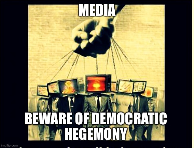 Beware | MEDIA; BEWARE OF DEMOCRATIC 
HEGEMONY | image tagged in indoctination,happy,fun,fry,trump | made w/ Imgflip meme maker