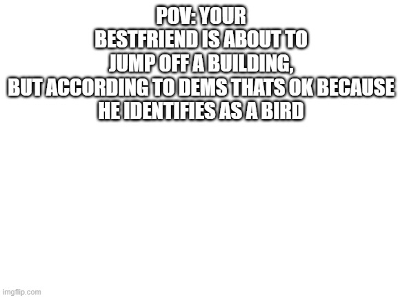 only in bidens america | POV: YOUR BESTFRIEND IS ABOUT TO JUMP OFF A BUILDING,

BUT ACCORDING TO DEMS THATS OK BECAUSE HE IDENTIFIES AS A BIRD | image tagged in blank white template | made w/ Imgflip meme maker