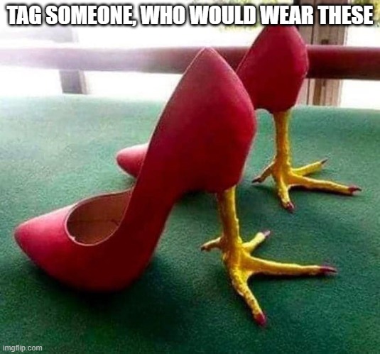 Chicken Feet |  TAG SOMEONE, WHO WOULD WEAR THESE | image tagged in shoes,high heels,chicken | made w/ Imgflip meme maker