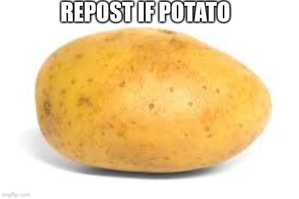 Potato | REPOST IF POTATO | image tagged in potato | made w/ Imgflip meme maker