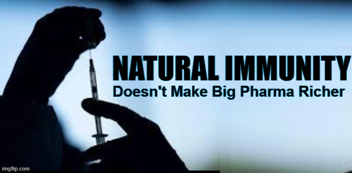 NATURAL IMMUNITY; Doesn't Make Big Pharma Richer | made w/ Imgflip meme maker