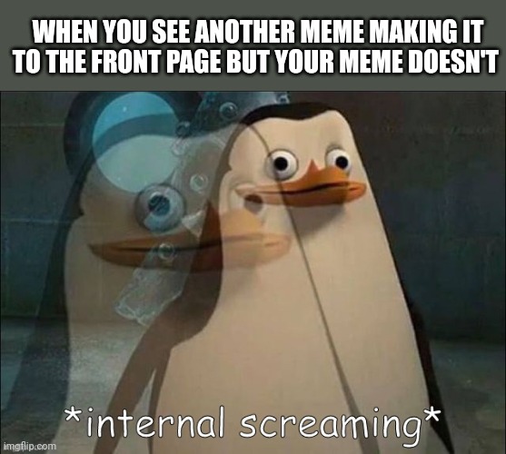 Internal screaming | WHEN YOU SEE ANOTHER MEME MAKING IT TO THE FRONT PAGE BUT YOUR MEME DOESN'T | image tagged in private internal screaming | made w/ Imgflip meme maker