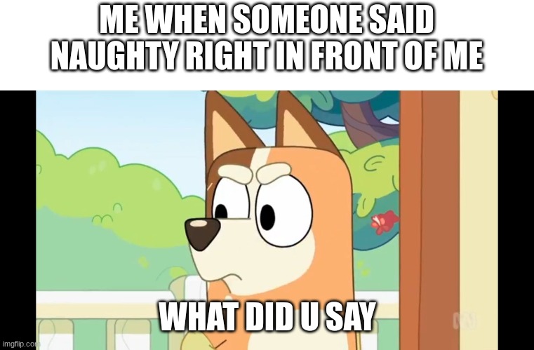 i use naughty | ME WHEN SOMEONE SAID NAUGHTY RIGHT IN FRONT OF ME; WHAT DID U SAY | image tagged in angry chilli | made w/ Imgflip meme maker