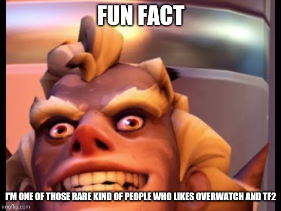Ratjunk | FUN FACT; I'M ONE OF THOSE RARE KIND OF PEOPLE WHO LIKES OVERWATCH AND TF2 | image tagged in ratjunk | made w/ Imgflip meme maker