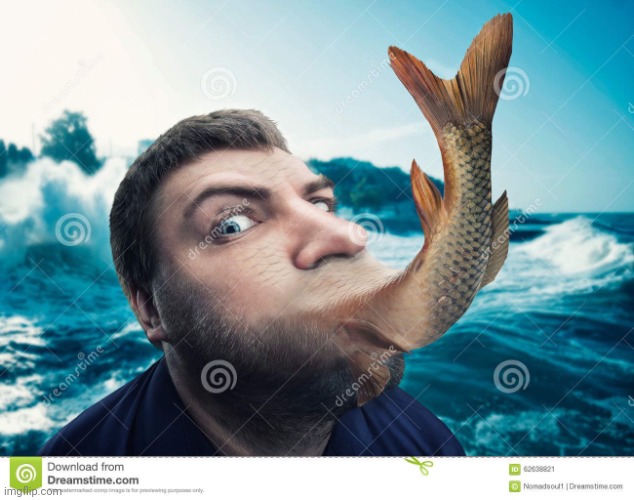 What kind of company would buy this stock photo, WHAT COMPANY?! | made w/ Imgflip meme maker