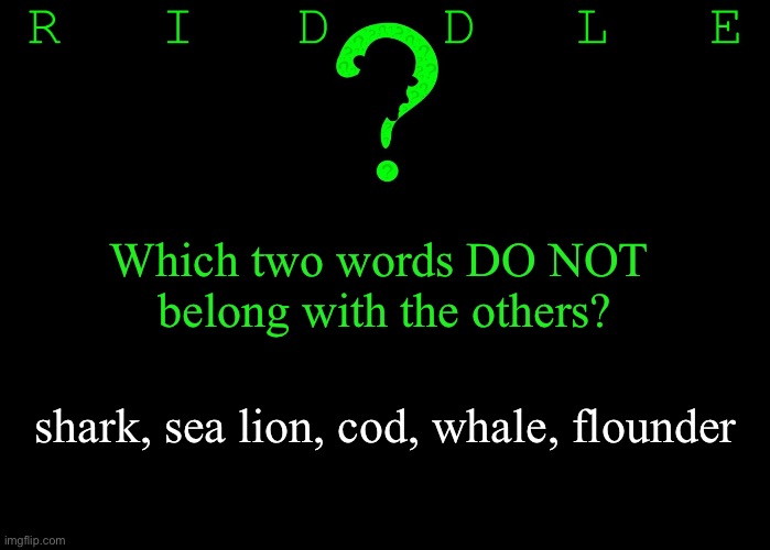 Riddle #41 (Three upvotes to the first correct answer posted in comments.) | Which two words DO NOT 
belong with the others? shark, sea lion, cod, whale, flounder | image tagged in memes,riddles and brainteasers | made w/ Imgflip meme maker