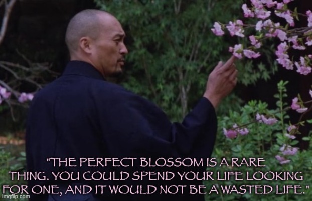 Last Samurai Katsumoto perfect blossom | image tagged in last samurai katsumoto perfect blossom | made w/ Imgflip meme maker