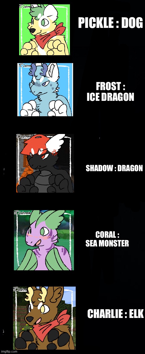 MORE ADOPTABLES UWU | PICKLE : DOG; FROST : ICE DRAGON; SHADOW : DRAGON; CORAL : SEA MONSTER; CHARLIE : ELK | image tagged in long black template,adopt,them,all,now | made w/ Imgflip meme maker