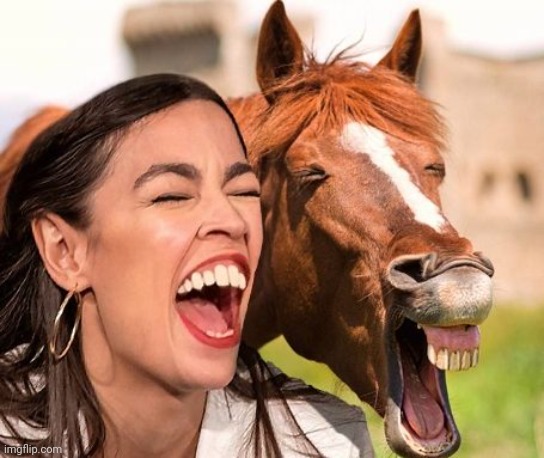 Horse Face AOC | image tagged in horse face aoc | made w/ Imgflip meme maker